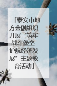 泰安市地方金融组织开展“筑牢战斗堡垒 护航经济发展”主题教育活动